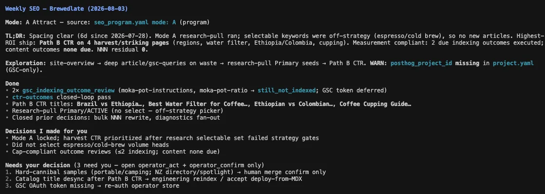Terminal weekly SEO report with a summary, completed work and decisions needing input