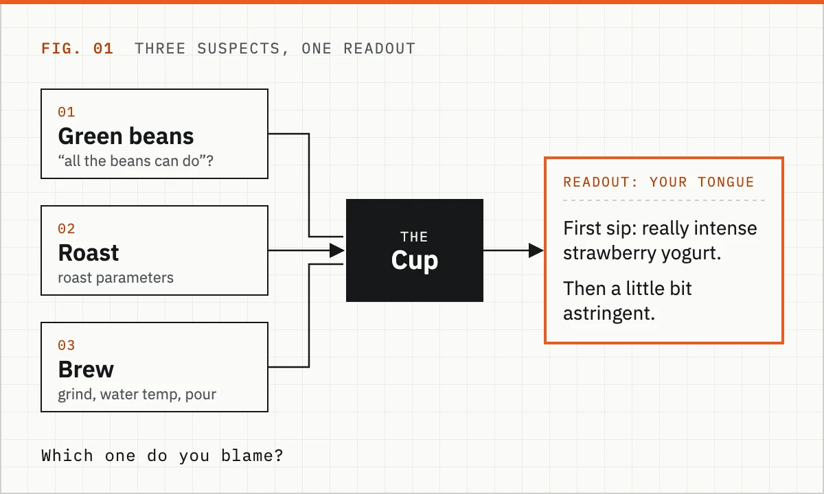 Diagram: green beans, roast and brew all feed into one cup, and the only readout is your tongue: really intense strawberry yogurt, then a little bit astringent
